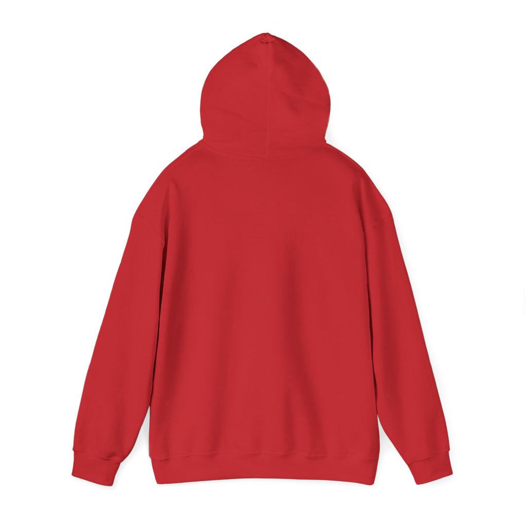 Brooklake Christian School | Adult Field Trip  Hooded Sweatshirt