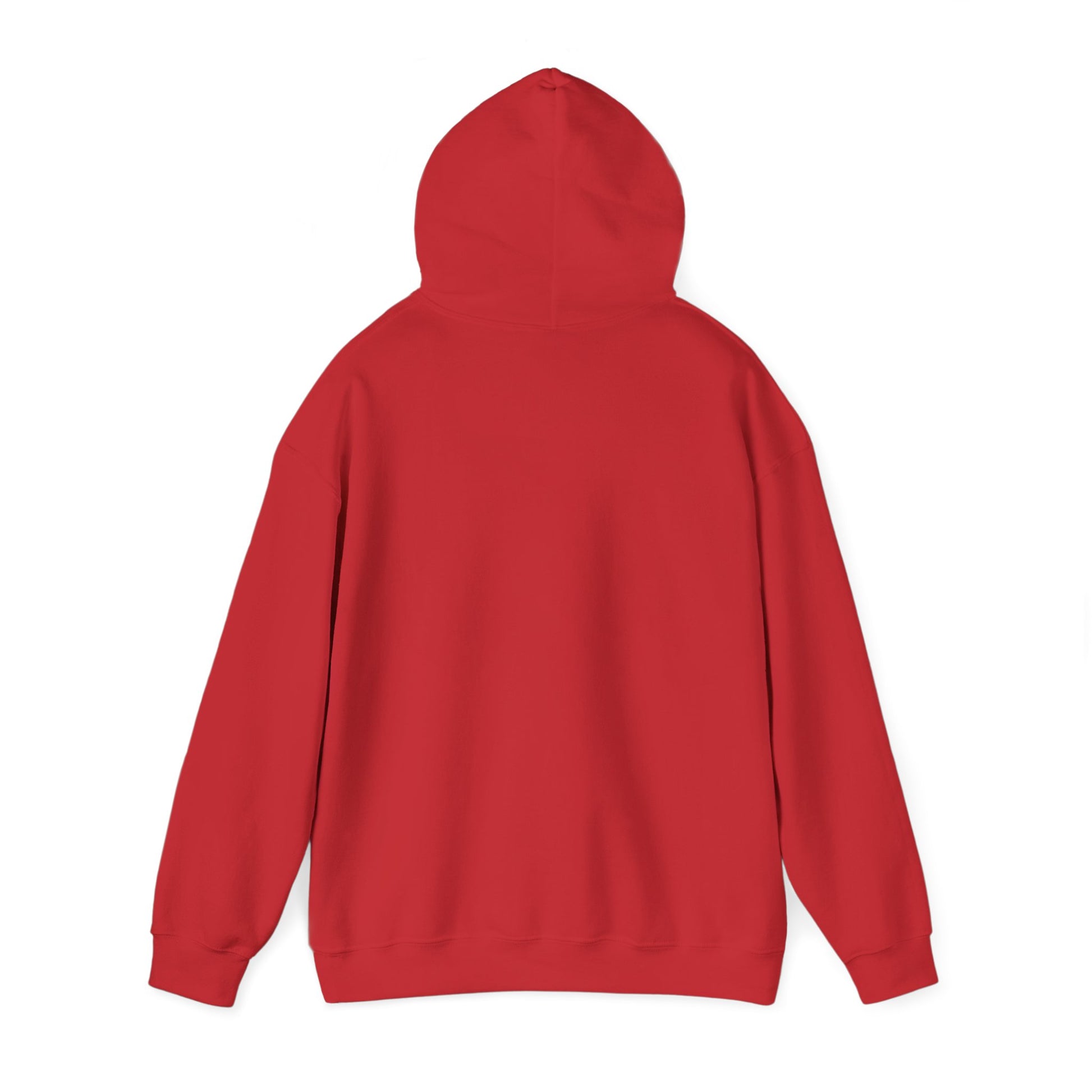 Brooklake Christian School | Adult Field Trip  Hooded Sweatshirt